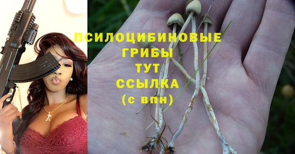 MESCALINE Алексеевка